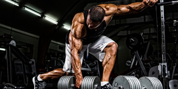 prehrana i testosteron